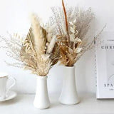 Dried Palm Dried Flowers Reed Rabbit Tail Grass Bouquet Dried Flowers Reed Decor