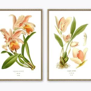 Orchid Flowers Print Set of 2, Botanical Wall Art, Pink Orchid Decor, Home Gallery, Flowers Poster