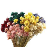 10Pcs Epoxy Dried Flower Pressed Embossed Bouquet Floral Home Decor DIY Making