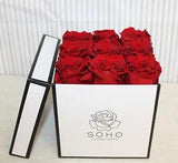 SOHO? Floral Arts 9 Dried Preserved Real Red Roses Flowers in Gift Box