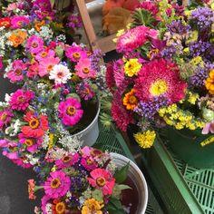 Flower Farming for Beginners: How to Grow Flowers for Profit Flower Delivery