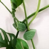 Plant wall climber clips, SET OF 10 Indoor plant wall vining supports, Adhesive wall clips for houseplants, Mounted wall clips, Ship from CA