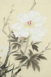 JAPANESE PAINTING Bird HANGING SCROLL Peony FROM JAPAN FLOWER PLANT e703