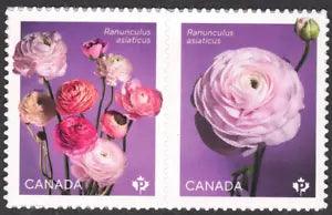 2023 Canada SC# Flowers - Ranunculus - pair from booklets - M-NH