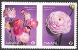 2023 Canada SC# Flowers - Ranunculus - pair from booklets - M-NH