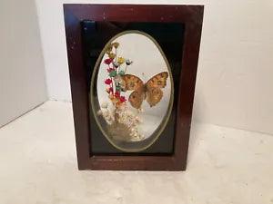 VINTAGE DRIED FLOWERS WALL ART UNDER GLASS 4 3/4 X 6 3/4" DOUBLE SIDED FRAME