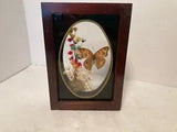 VINTAGE DRIED FLOWERS WALL ART UNDER GLASS 4 3/4 X 6 3/4" DOUBLE SIDED FRAME