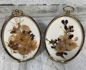 Vtg Pressed Dried Flowers In Oval Brass Frames Granny Core Cottagecore Staging