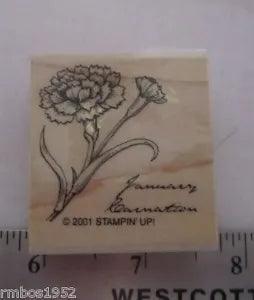 Stampin Up Single Stamp Flower of the Month January Carnation Flower Birthday