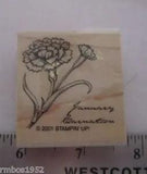 Stampin Up Single Stamp Flower of the Month January Carnation Flower Birthday