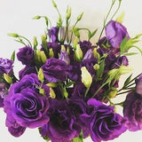 PURPLE LISANTHUS Double Flowers Lisianthus Eustoma 5 Seeds