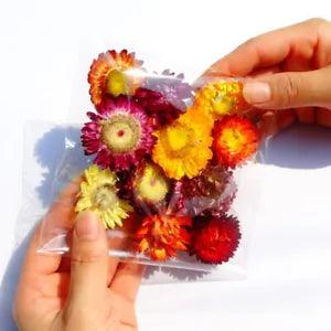 Dried Flower Heads Chrysanthemum DIY Wedding Party Home Floral Art Decor Craft