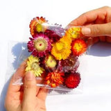 Dried Flower Heads Chrysanthemum DIY Wedding Party Home Floral Art Decor Craft