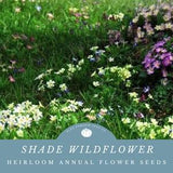 Shade Wildflower Seed Mix: Annual Baby??s Breath, Baby Blue-Eyes, Candytuft, Chinese Forget-Me-Not, Chinese Houses, Clarkia, Columbine, Poppy