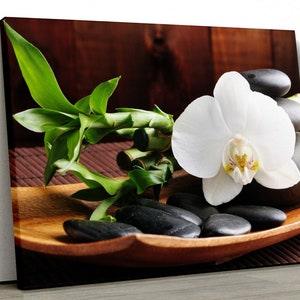 White Orchid Wall Art, Orchid Flower Canvas Print, Floral Photo Zen Print