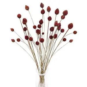 30pcs Fall Dried Flowers Bouquet Bulk Mini Flowers Natural Dried Flowers