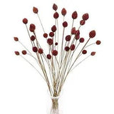 30pcs Fall Dried Flowers Bouquet Bulk Mini Flowers Natural Dried Flowers