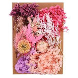 Natural Dried Flowers Multiple Real Dried Pressed Flowers Plant Light Pink
