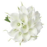 USA Seller Milky White Real Touch 18 pcs Artificial PU Calla lily flowers 14 inches