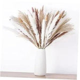 100PCS Natural Dried Pampas Grass Bouquet, Dried Flowers for Fall Decor, Boho