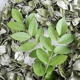 Gliricidia Sepium Glory Cedar Cocoa Dried Leaves fertilizer organic compost 100g