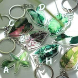 Plant Keychain acrylic | Rare plant| Gift for plant mom | Plant Keyring| Foliage keychain | Plant gift | philodendron | Syngonium|