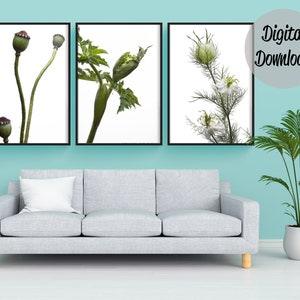 Set of 3 wall art, green plant prints