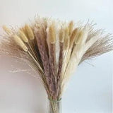 75Pcs Natural Dried Flowers Mix Bouquet, 17 Inch Bunny Tails, Reed Multi Color