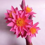 Water Lily Artificial Flowers Lotus Fake Floating Swimming Pool Plant D???cor NEW