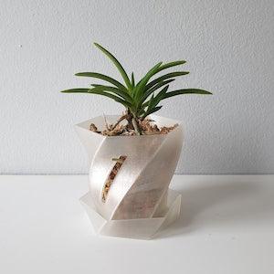 Orchid Pot Translucent 2" 3" 4" 5" 6", 3D Printed Pot with Slots