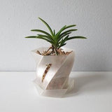 Orchid Pot Translucent 2" 3" 4" 5" 6", 3D Printed Pot with Slots