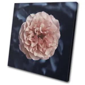 Navy Peach Peony Flower Nature Floral SINGLE CANVAS WALL ART Picture Print