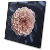 Navy Peach Peony Flower Nature Floral SINGLE CANVAS WALL ART Picture Print
