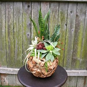Large Faux Succulent Arrangement, 31" Wooden Bowl Faux Succulent Arrangement, Large Centerpiece, Gift, Summer Decor, Succulent Planter,