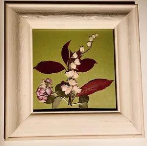 New Dried Flower Picture Naturals by Druskoff Spring Floral White Wood Frame