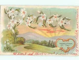 NEW LISTINGc1910 Language Of Flowers PEACE - SPELLED IN LILY FLOWERS : clearance AC5017