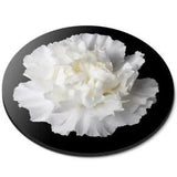 Round Mouse Mat White Carnation Flower #52445