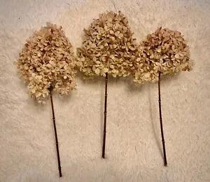 Dried Hydrangea Bouquet w/ 3 Ex Large Stems Cream Pink Limelight Mophead Hydrang