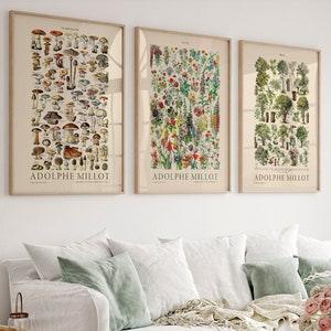 Set of 3 Botanical Poster, Adolphe Millot, Mushroom Print, Vintage Flower Chart, Pine Tree, Food Art, Kitchen Art Gallery, Nordic Forest