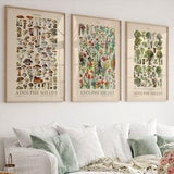 Set of 3 Botanical Poster, Adolphe Millot, Mushroom Print, Vintage Flower Chart, Pine Tree, Food Art, Kitchen Art Gallery, Nordic Forest