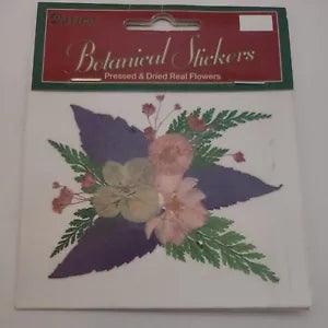 Darice Botanical - Real Pressed & Dried Flower Sticker  Crafts