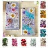 Mixed Pressed Dried Flowers Dry Leaves for  Bookmark Cards Making