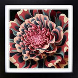 Carnation Flower Op Art Framed Wall Art Poster Print Home Decor Picture Large