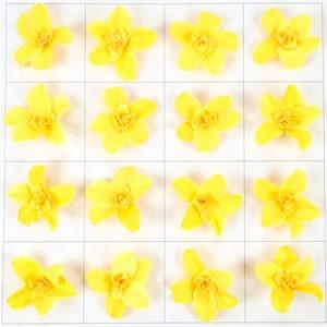 3'' Yellow Artificial Silk Flower Head / Fake Orchid For DIY Craft / Faux Cattelan Wine Bottle Topper Flower  Bottle Decoration Accessories
