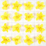 3'' Yellow Artificial Silk Flower Head / Fake Orchid For DIY Craft / Faux Cattelan Wine Bottle Topper Flower  Bottle Decoration Accessories