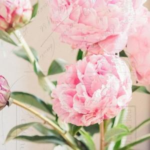 Peony Photo, Fine Art Print, Flower Photo, Pink Peony, Bouquet, Pastel, Shabby Chic Art, Spring, Cottage Art, Floral Decor, Botanical Print