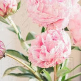 Peony Photo, Fine Art Print, Flower Photo, Pink Peony, Bouquet, Pastel, Shabby Chic Art, Spring, Cottage Art, Floral Decor, Botanical Print