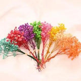 Dried Babys Breath Cotton Flowers For Decor Natural Fresh Mini Blooms F6D0  L6O2