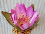 3" Small Lavender PURPLE Soft Silk WATER LILY Flower, Stone Base