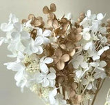 DRIED FLOWERS HYDRANGEA BEIGE WHITE STEM ARTIFICIAL SILK FLOWERS DIY ARRANGEMENT